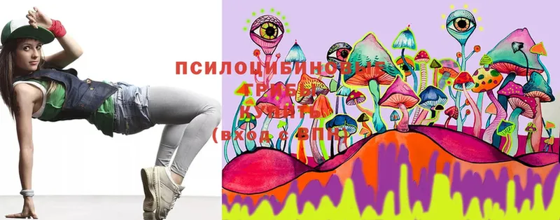 Галлюциногенные грибы Magic Shrooms  где найти наркотики  Любань 